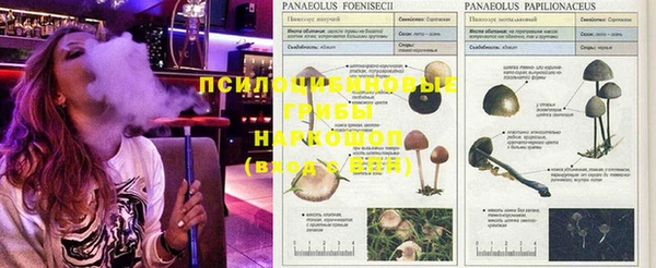гидропоника Абаза