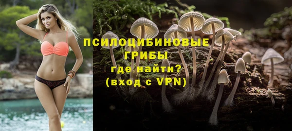 гидропоника Абаза