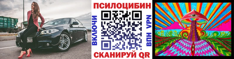 Псилоцибиновые грибы Psilocybine cubensis  Вытегра 
